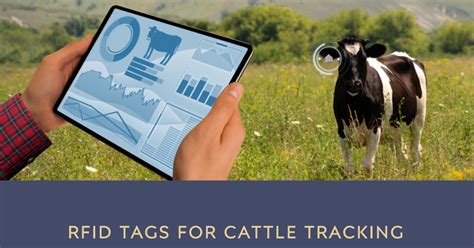 livestock rf tags|cattle radio frequency tags 2023.